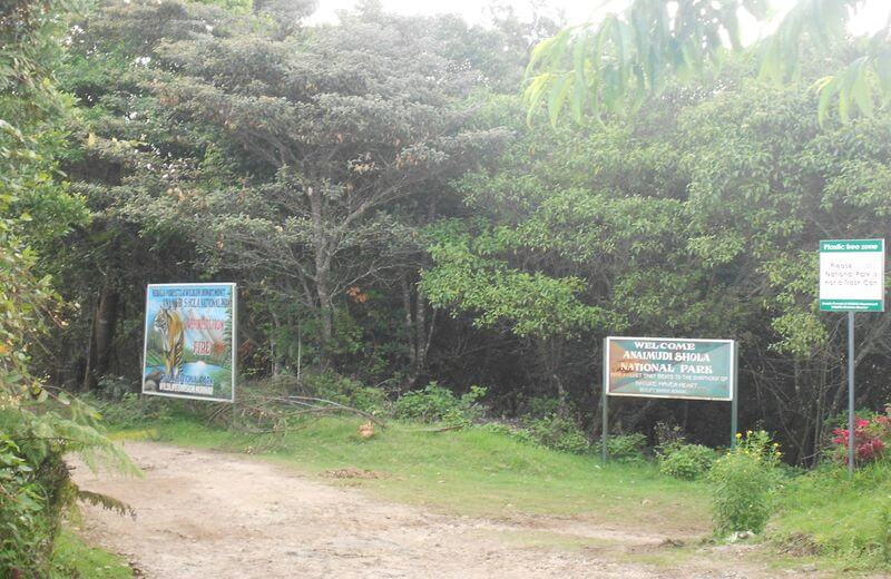 Anamudi Shola National Park