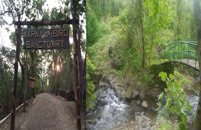 Karnala Bird Sanctuary