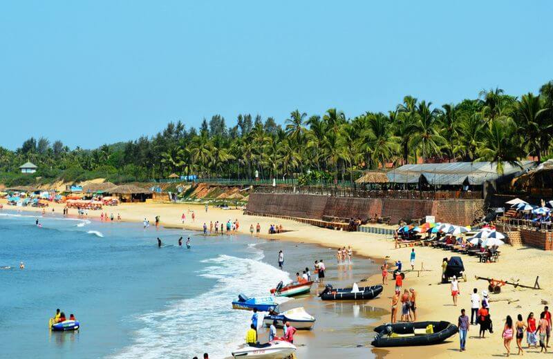 Famous For The Nature Lovers  Morjim Beach, Goa
