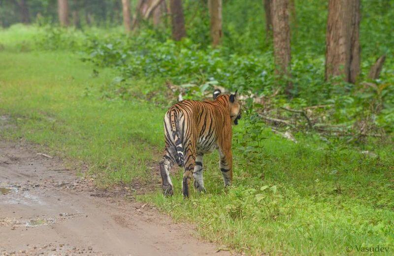 Nagarhole National Park