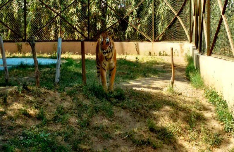 Sarthana National Park