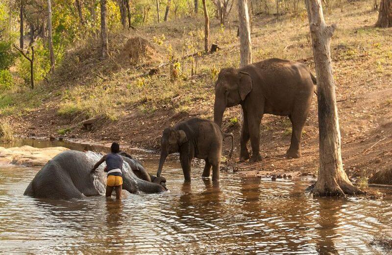 Satpura National Park