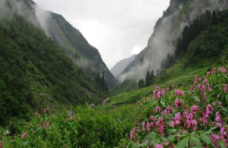 The Great Himalayan National Park