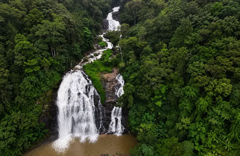 Abbey Falls cascading through green rocks surrounded by coffee plantations near Madikeri, Coorg
