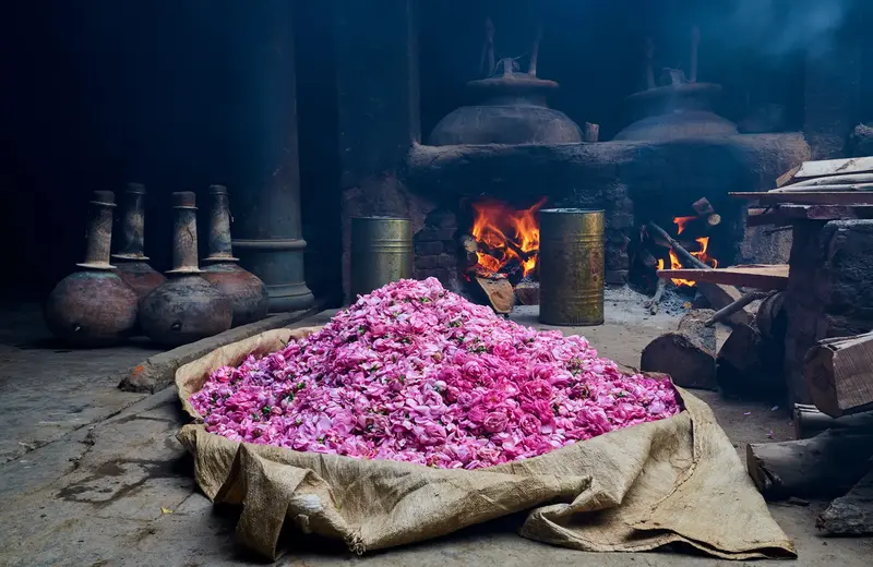 Best Day Trips from Kanpur Within 100 KM