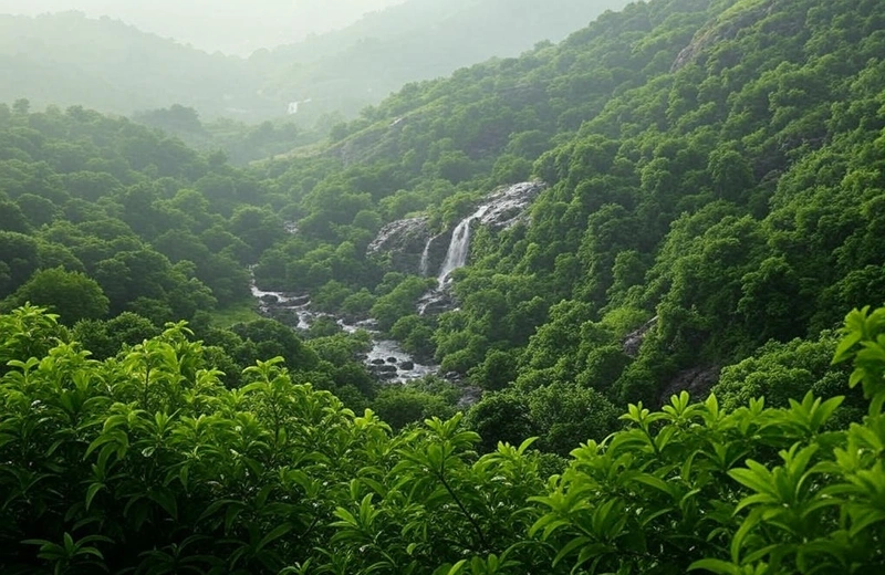 Best Monsoon Destinations Near Ahmedabad for a Quick Escape