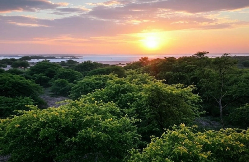 offbeat destinations in Gujarat