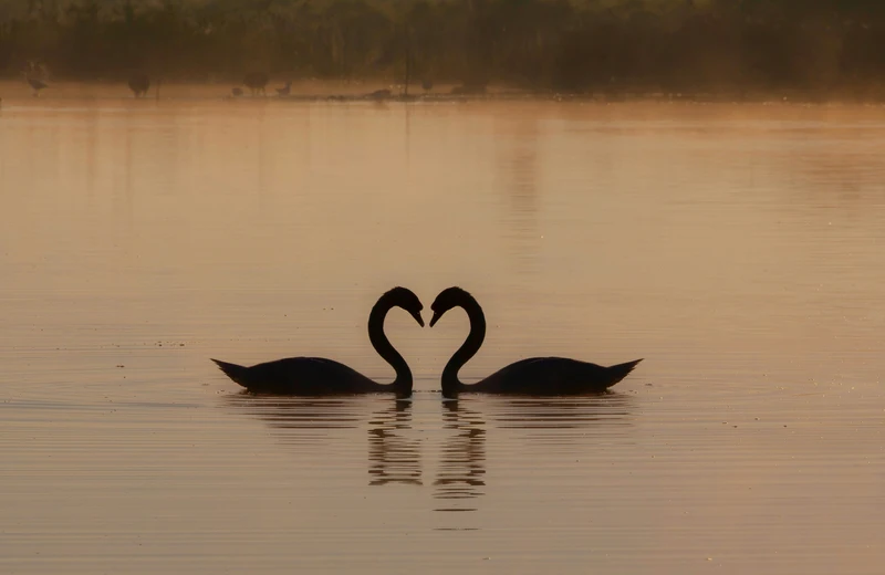 romantic weekend getaways near Delhi