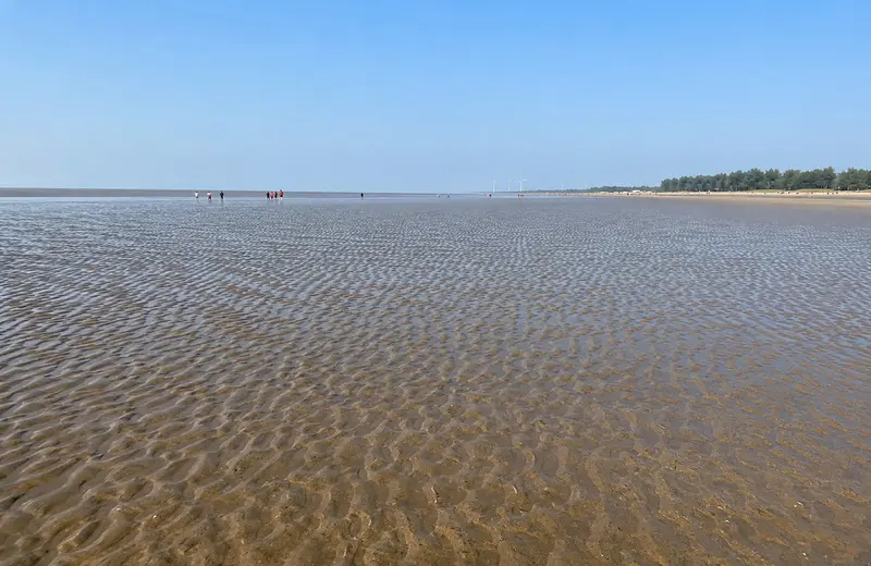 Chandipur Beach Odisha during low tide, the vanishing sea pulled far back leaving a wide plain of ri