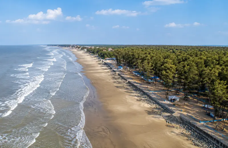 Digha beach West Bengal shoreline with casuarina trees.