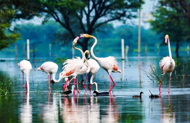Eco-Friendly Travel in Kanpur
