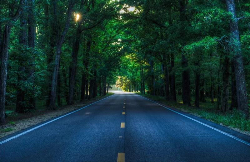 Goa to Karwar Road Trip Guide