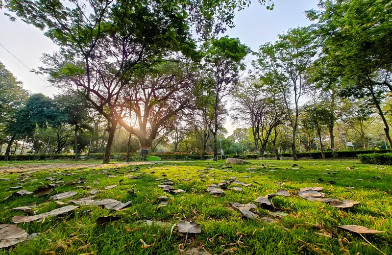 Hidden Gems in Kanpu