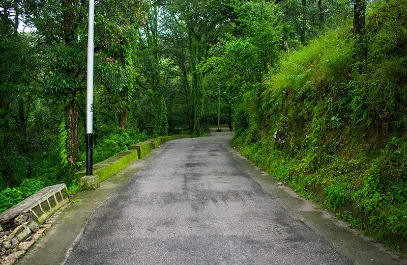 How to Reach Lansdowne from Delhi by Road
