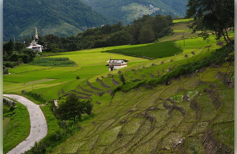 How to Reach Ziro Valley Arunachal Pradesh