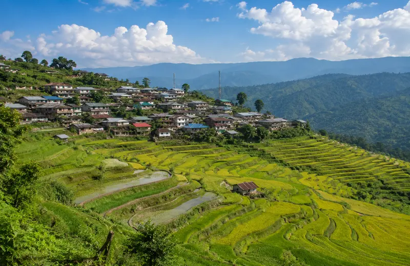 Terraced rice fields surrounding Khonoma village, Nagaland's first green village