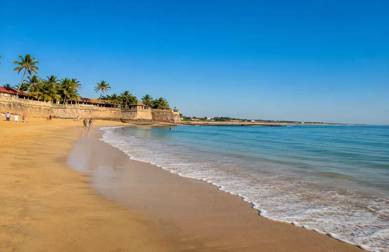 Scenic view of Nagoa Beach in Diu with golden sand, calm blue sea, and palm-lined shoreline under a 
