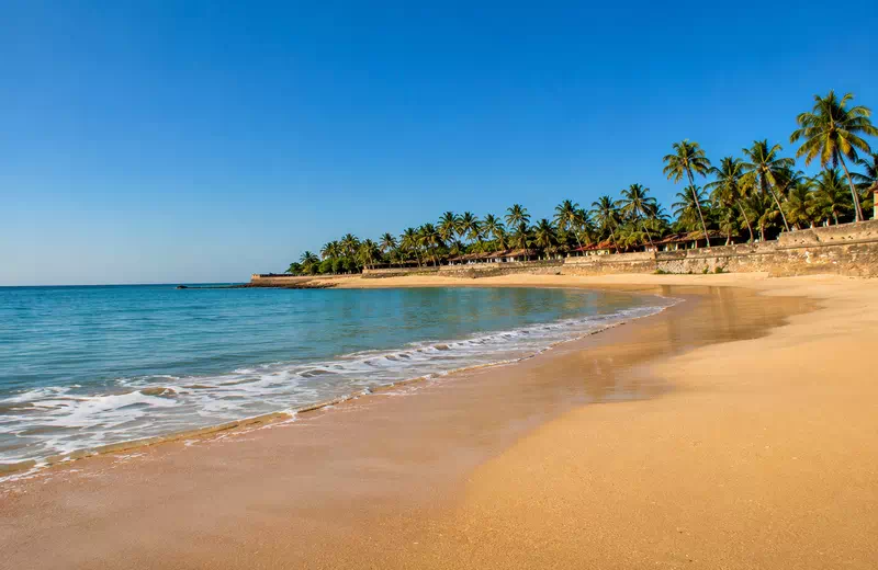 Palm-lined shoreline at Nagoa Beach in Diu with golden sand, calm turquoise water, and a clear blue sky.