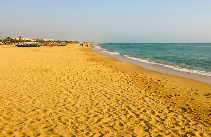 Nature lovers beaches near Mandvi