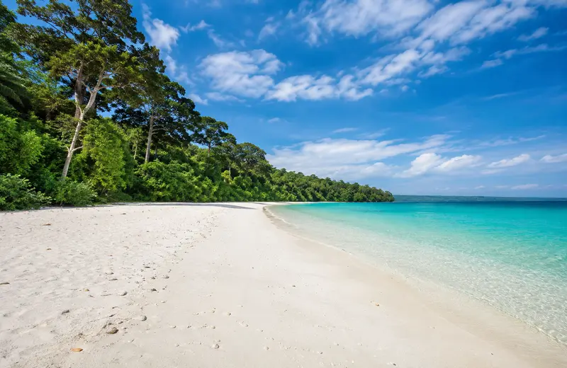 Radhanagar Beach Havelock Island white sand and turquoise water with forest backdrop