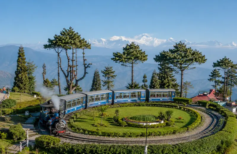 Vintage steam train circling a landscaped hillside garden, with Himalayan pine trees and snow-capped