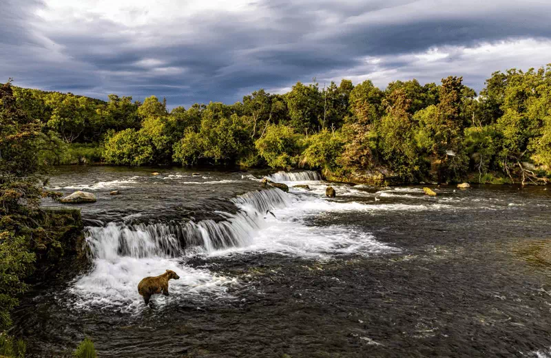 Katmai National Park Brooks Falls