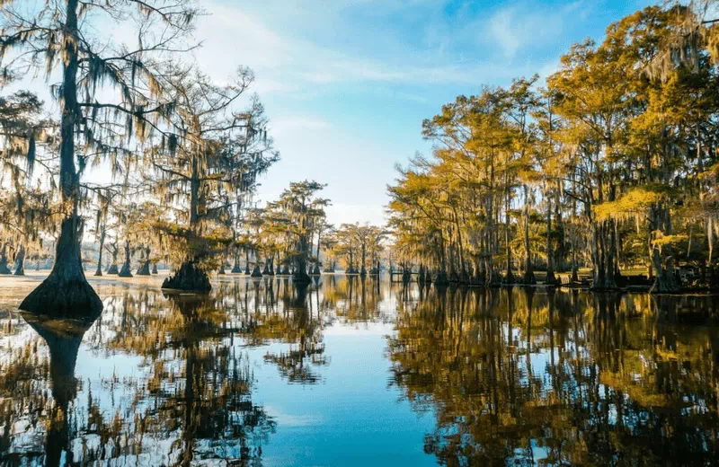 Caddo Lake