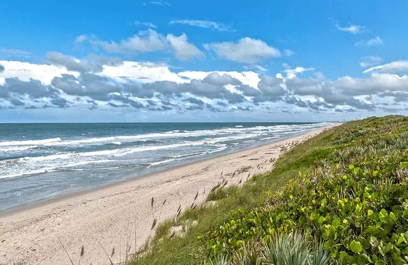 Canaveral National Seashore