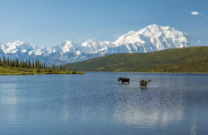 Denali National Park Adventure