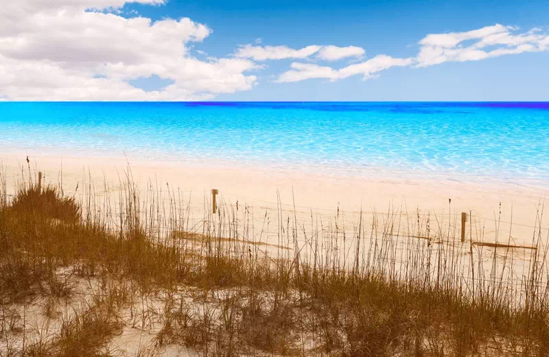 Relax and Recharge at Henderson Beach State Park's