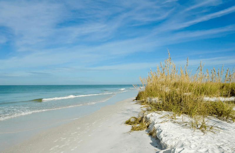 First Landing State Park Beach