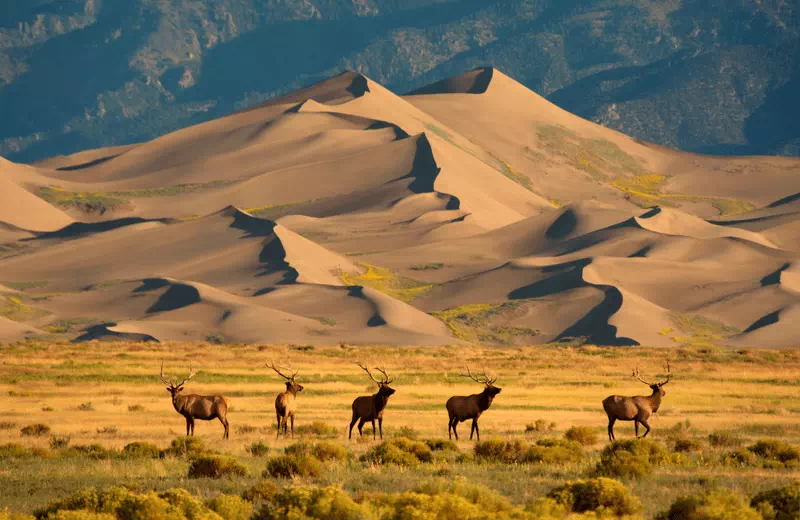 Great Sand Dunes National Park