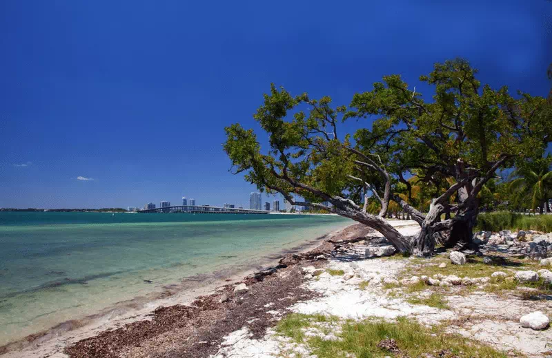 Hobie Island Beach Park