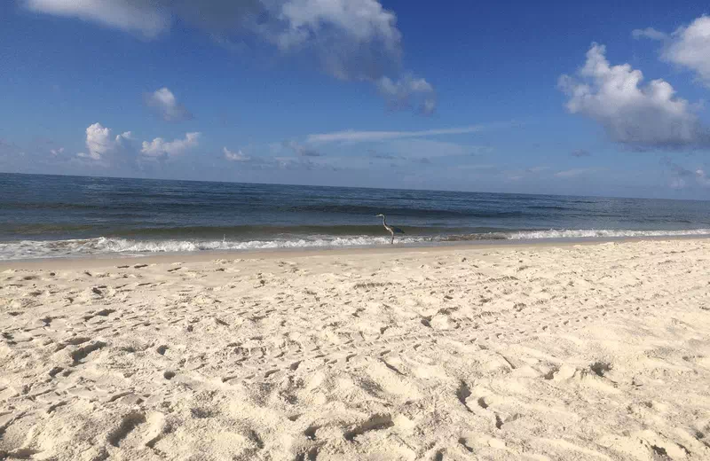 Camping at Johnson Beach