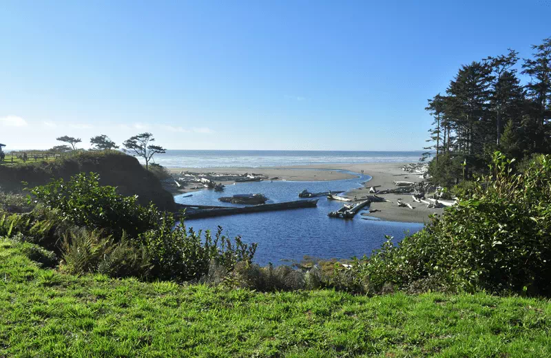 Kalaloch Beach