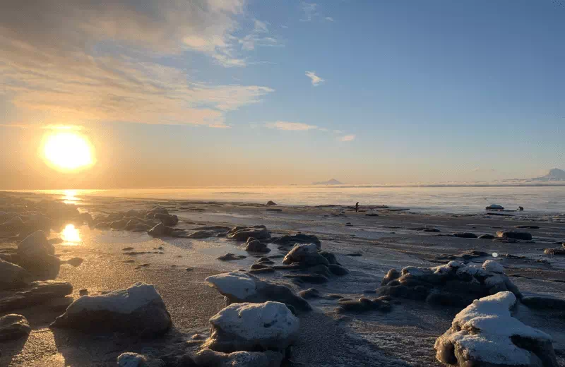 Kenai Beach