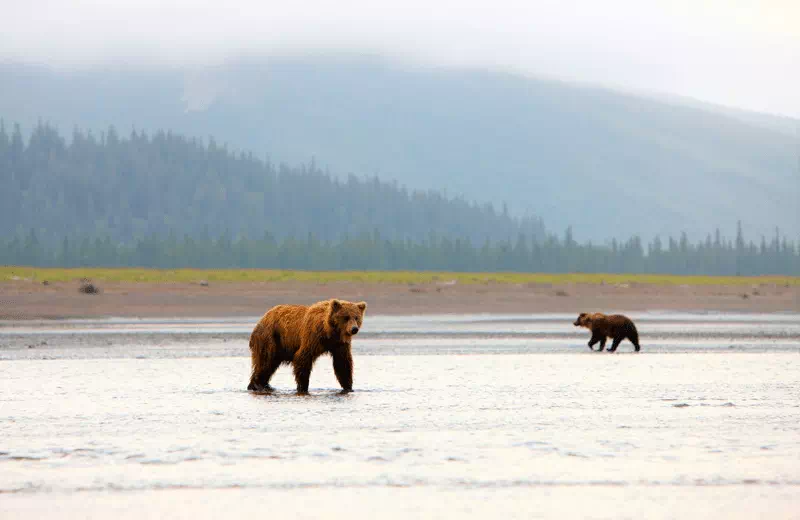 Lake Clark National Park & Preserve (4,030 sq mi)