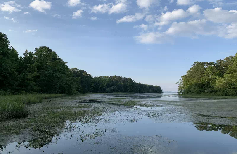 guntersville lake