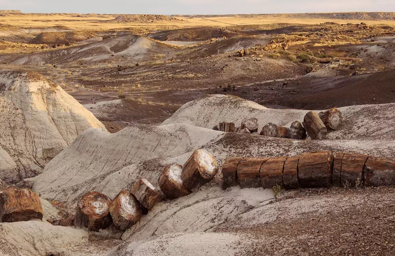 Petrified Forest National Park