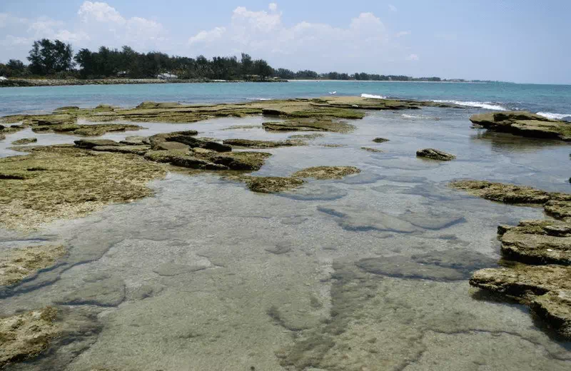 Point of Rocks Beach