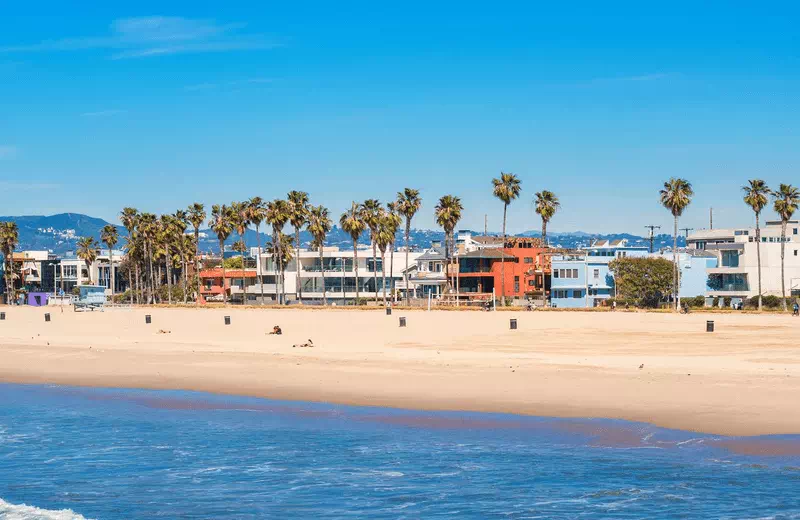 Best Things to Do in Venice Beach