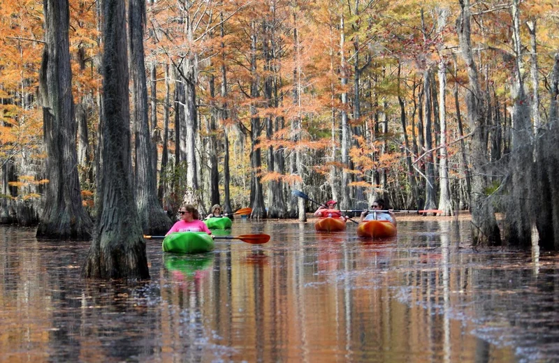 Cheap Things to Do in Savannah