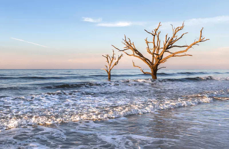 Edisto Beach