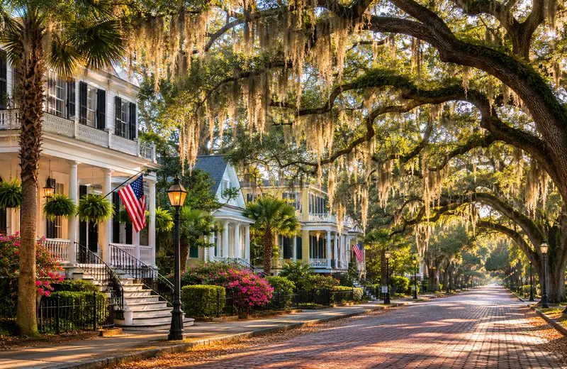 Spanish moss draped over live oaks lining a historic antebellum street in downtown Beaufort, South C