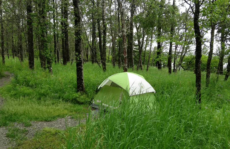 Katmai National Park Camping