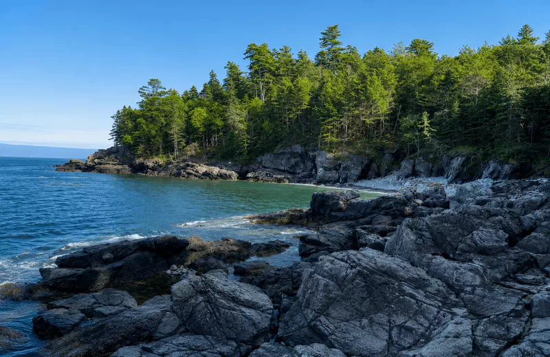 Rocky coastal cove with evergreen-topped cliffs along the Acadia National Park shoreline near Bar Harbor