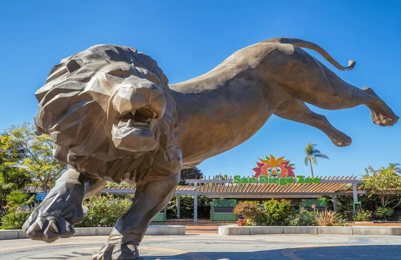 Magic of Zoos in San Diego: