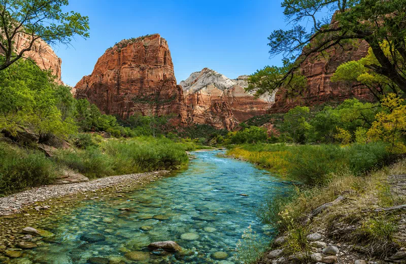 Zion National Park crystal-clear river and red canyon cliffs