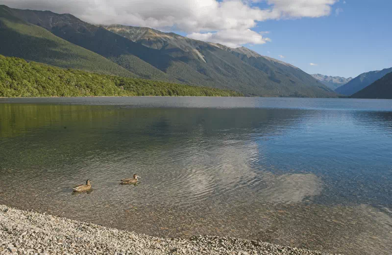 lake rotoiti