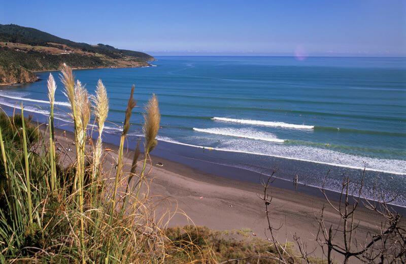 Whale Bay, Waikato